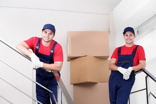 Professional movers handling boxes during a Dulwich relocation