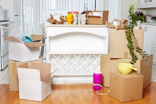 Protective packing materials for fragile items during a Dulwich move