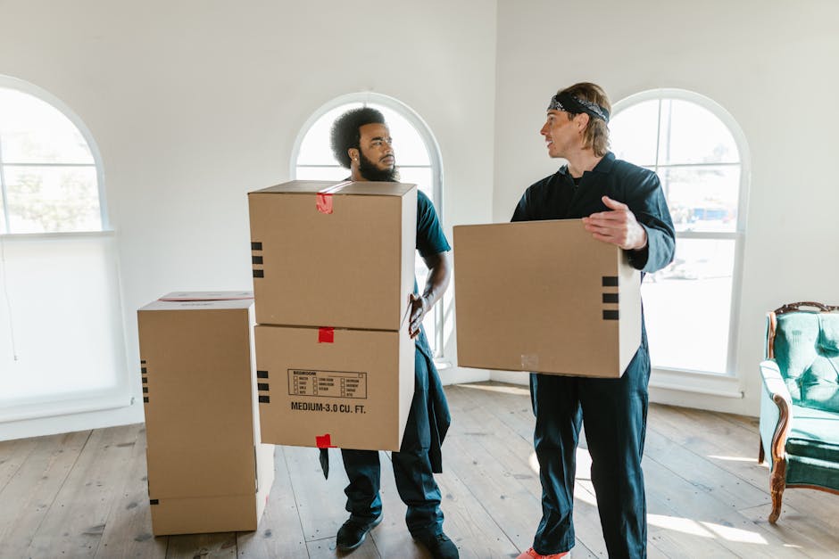 Two movers from Dulwich Removals are indoors in a bright, spacious room with large arched windows allowing natural daylight to fill the space. One mover, with curly hair and dressed in dark clothing, 